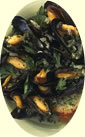 Mussels